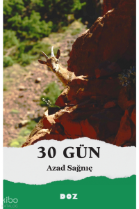 30 Gün