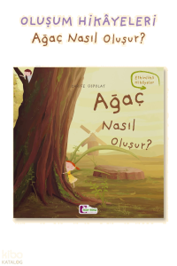Ağaç Nasıl Oluşur?