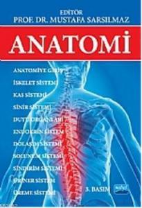 Anatomi