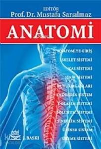 Anatomi