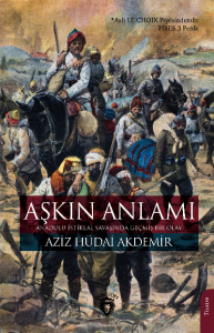Aşkın Anlamı