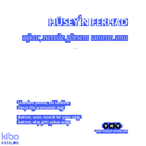 Aşktır, Nerede Görsem Tanırım Onu