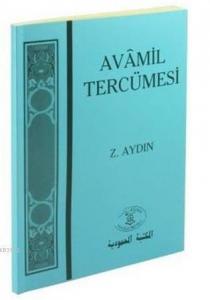 Avâmil Tercümesi; Sarf ve Nahiv