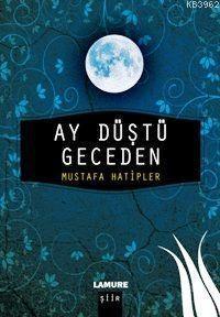 Ay Düştü Geceden