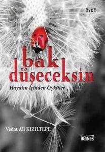 Bak Düşeceksin; Hayatın İçinden Öyküler