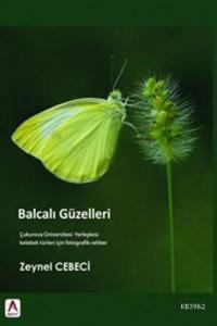 Balcalı Güzelleri Çukurova Üniversitesi Yerleşkesi Kelebek Türleri için Fotografik Rehber