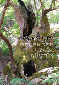Bedenden Uzağa Düştük