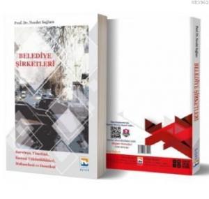 Belediye Şirketleri Kuruluşu, Yönetimi, Kanunu Yükümlülükleri, Muhasebesi ve Denetimi