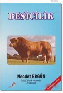 Besicilik