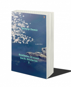 Bestesini Arayan Şarkı Sözlerim 2