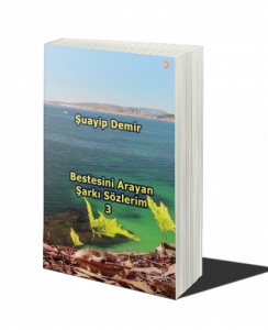 Bestesini Arayan Şarkı Sözlerim 3