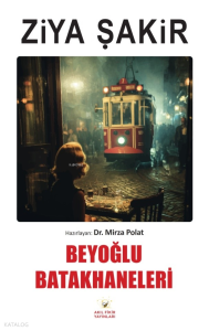 Beyoğlu Batakhaneleri