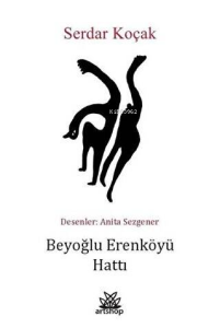 Beyoğlu Erenköyü Hattı