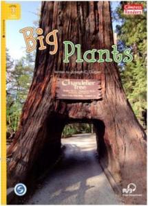 Big Plants+Downloadable Audio A1; Compass Readers 3