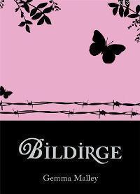 Bildirge