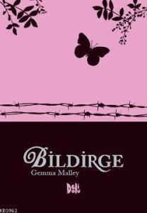 Bildirge