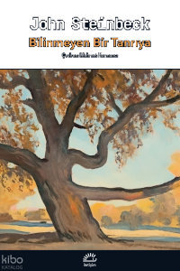 Bilinmeyen Bir Tanrıya