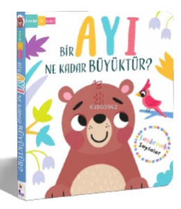 Bir Ayı Ne Kadar Büyüktür?