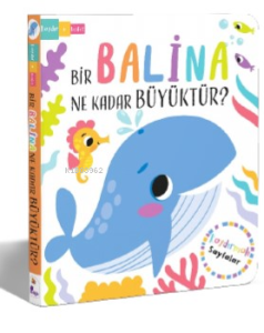 Bir Balina Ne Kadar Büyüktür?