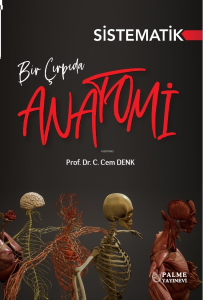 Bir Çırpıda Sistematik Anatomi