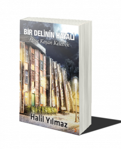 Bir Delinin Hayali