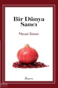 Bir Dünya Sancı