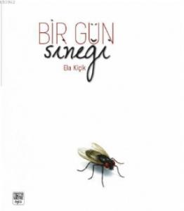 Bir Gün Sineği