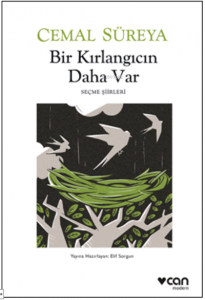Bir Kırlangıcın Daha Var