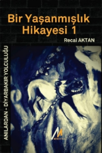 Bir Yaşanmışlık Hikayesi 1;Anılardan Diyarbakır Yolculuğu