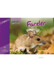 Bir Zamanlar Korkardım - Fareler