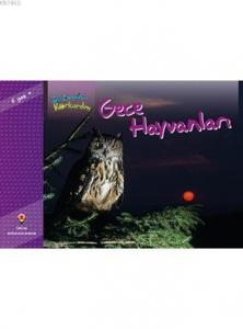 Bir Zamanlar Korkardım - Gece Hayvanları