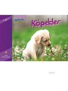 Bir Zamanlar Korkardım - Köpekler