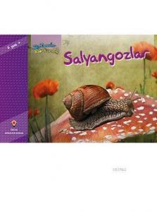 Bir Zamanlar Korkardım - Salyangozlar