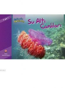 Bir Zamanlar Korkardım - Su Altı Canlıları