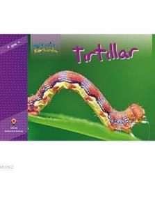 Bir Zamanlar Korkardım - Tırtıllar