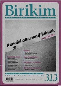 Biriki Sayı: 313; Kendini Alternatif Kılmak - Seçimler