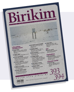 Birikim;393-394 Ocak-Şubat