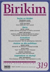 Birikim Sayı 319 - Kasım 2015