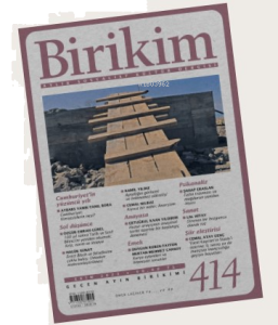 Birikim
