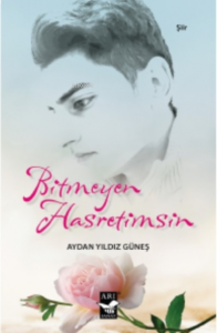 Bitmeyen Hasretimsin