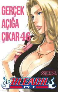 Bleach 46. Cilt;Yitik Cehennem
