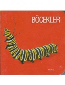 Böcekler