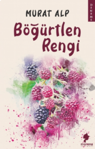 Böğürtlen Rengi