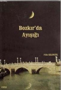 Bozkır'da Ayışığı