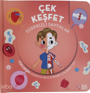 Çek Keşfet - İnsan Vücudu;Sürprizli Sayfalar
