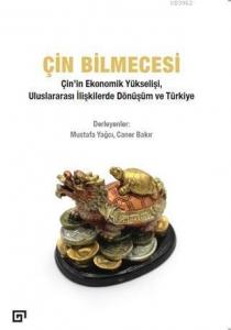 Çin Bilmecesi; Çin'in Ekonomik Yükselişi, Uluslararası İlişkilerde Dönüşüm ve Türkiye