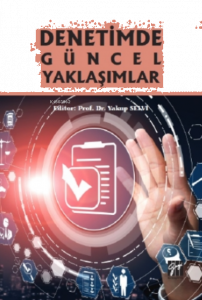 Denetimde Güncel Yaklaşımlar
