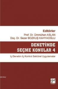 Denetimde Seçme Konular 4 İç Denetim İç Kontrol Sektörel Uygulamalar