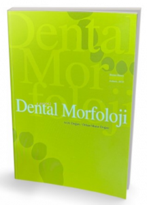 Dental Morfoloji
