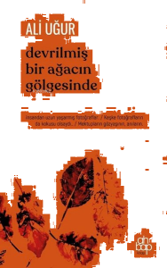 Devrilmiş Bir Ağacın Gölgesinde